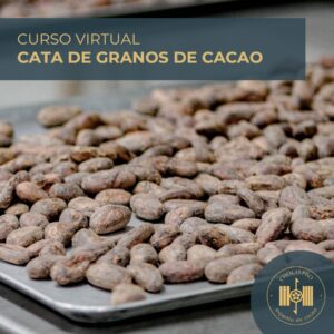 CURSO VIRTUAL: CATA DE GRANOS